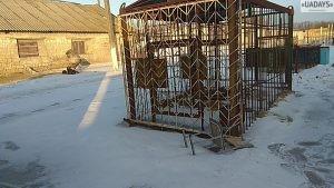 Из зоопарка в Покровске забрали истощенного льва