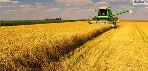 Украина вошла в пятерку лидеров по аграрному экспорту в ЕС