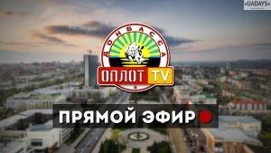 В Донецке сложно поддерживать работу мусоровозов из-за низких тарифов