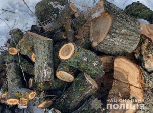 Славянские оперативники задержали бригаду «черных» лесорубов — новини Слов'янськ