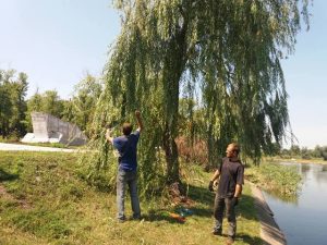 В Покровську відреставрують парк