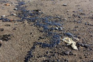 В окупованому Криму відпочиваючі обурені забрудненим морем