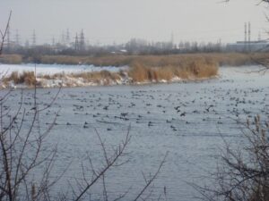 Російські окупанти обстріляли прифронтову теплоелектростанцію, у місті Курахове